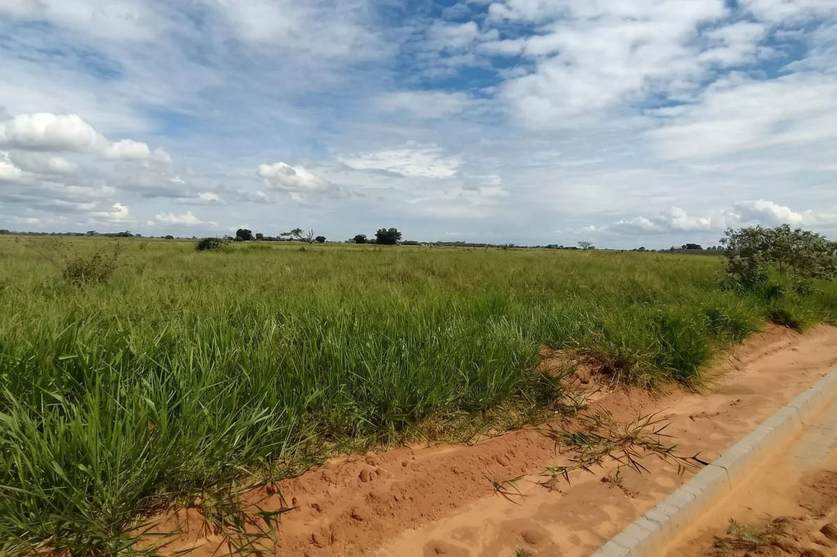 Terrenos