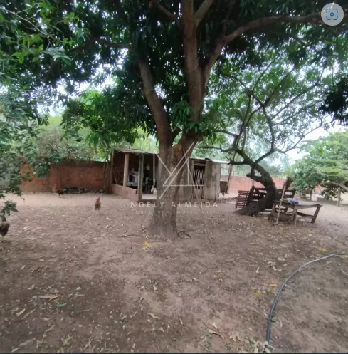 Chácara — foto 18