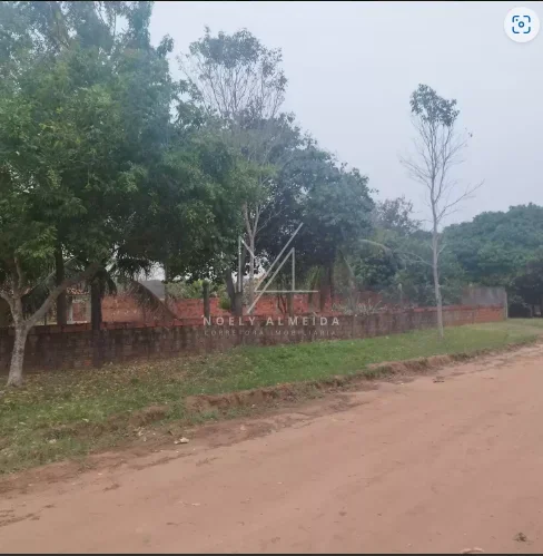 Chácara — foto 20