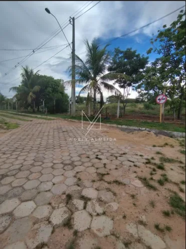 Rancho — foto 19