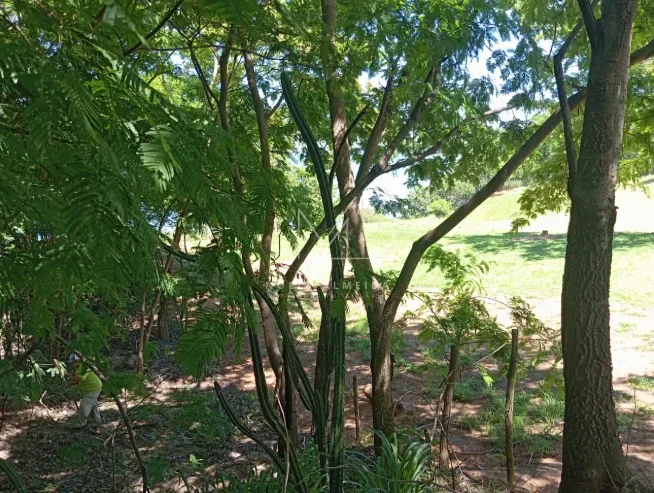 Terreno — foto 5