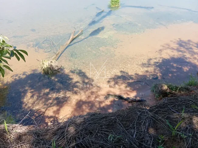 Terreno — foto 6