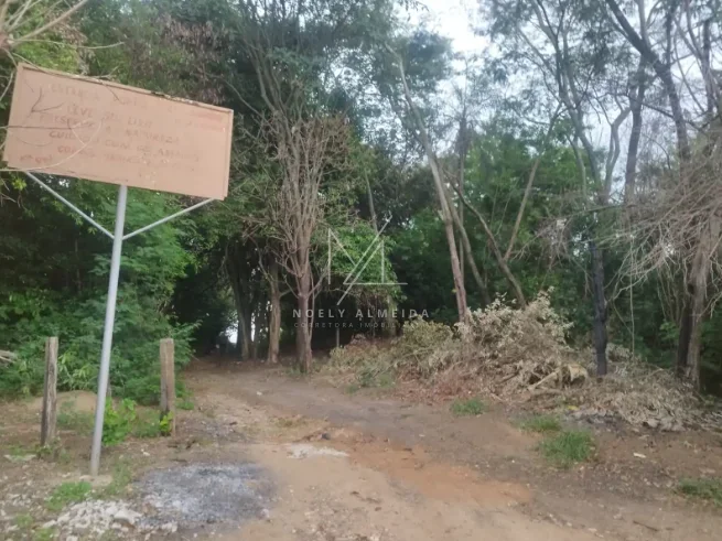 Rancho — foto 22
