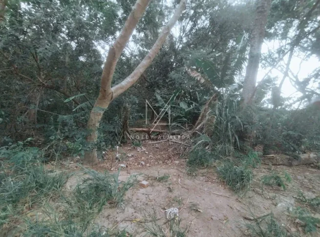 Rancho — foto 23