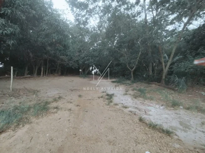 Rancho — foto 25
