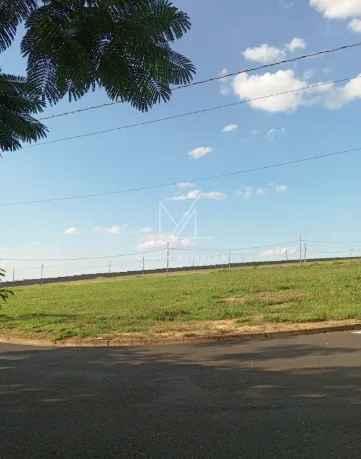 Terreno — foto 8