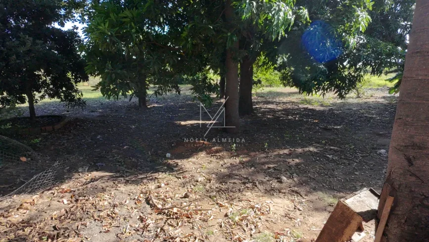 Chácara — foto 20