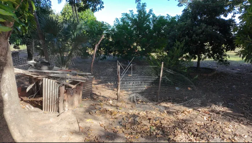 Chácara — foto 21