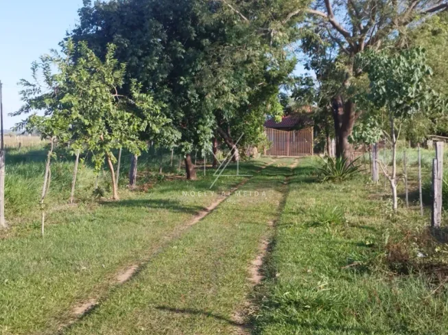 Chácara — foto 25