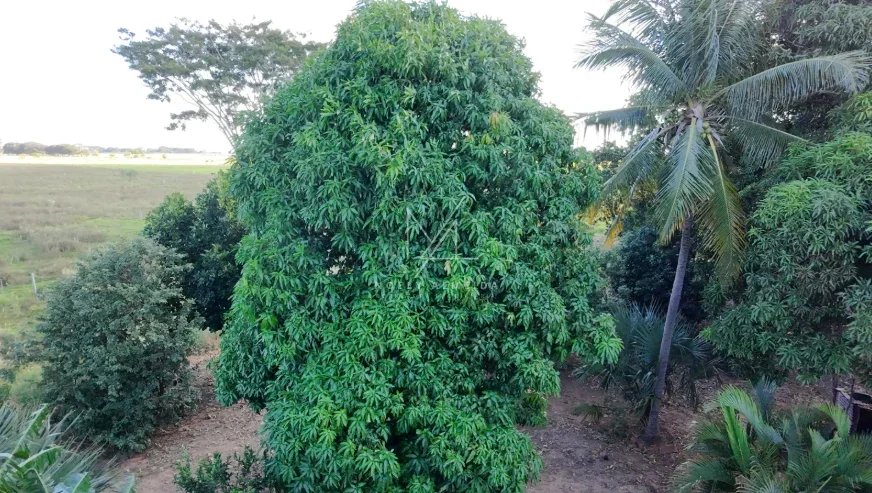 Chácara — foto 29