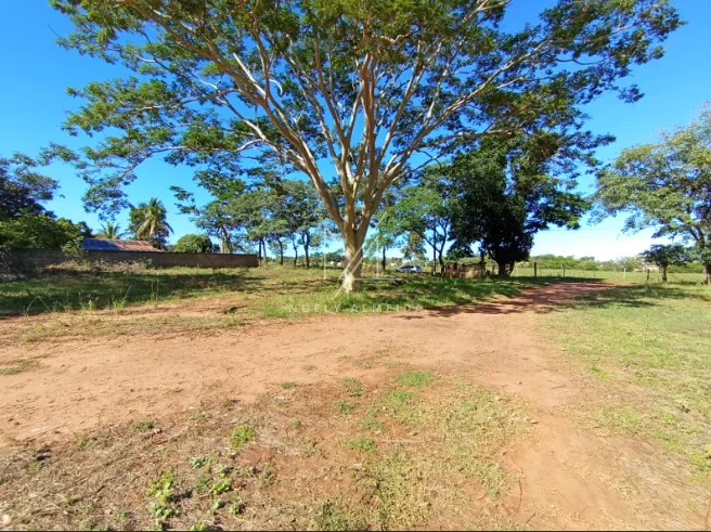 Terreno — foto 5