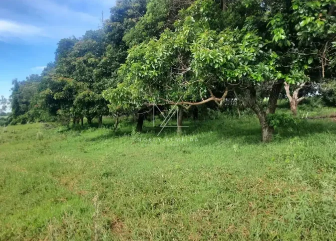 Sítio — foto 4
