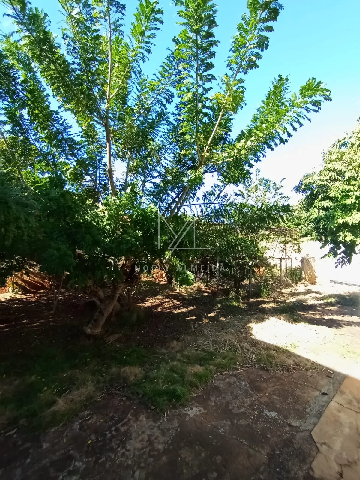 Casa a venda no centro de Presidente Epitácio. — foto 21