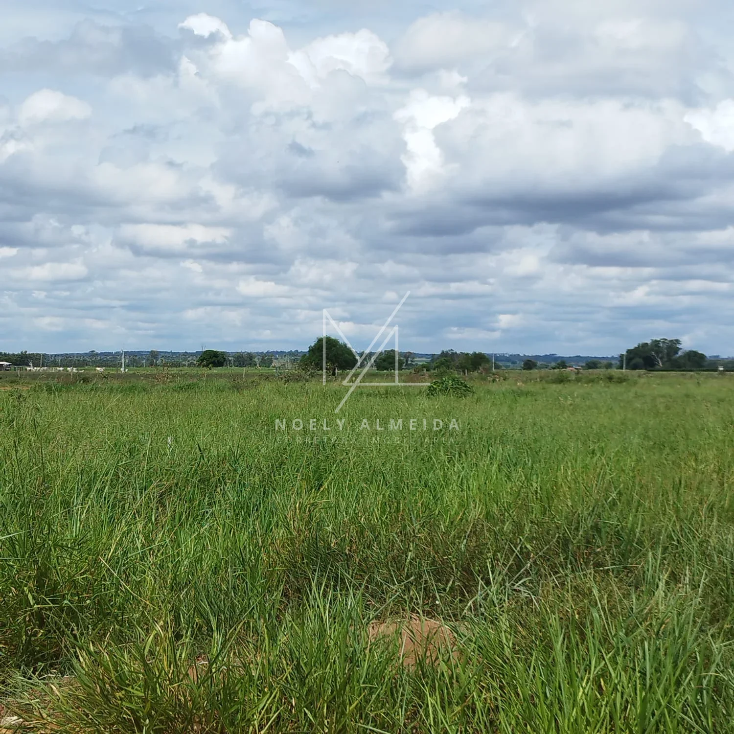 Terreno, para construir rancho em Presidente Epitácio — foto 3