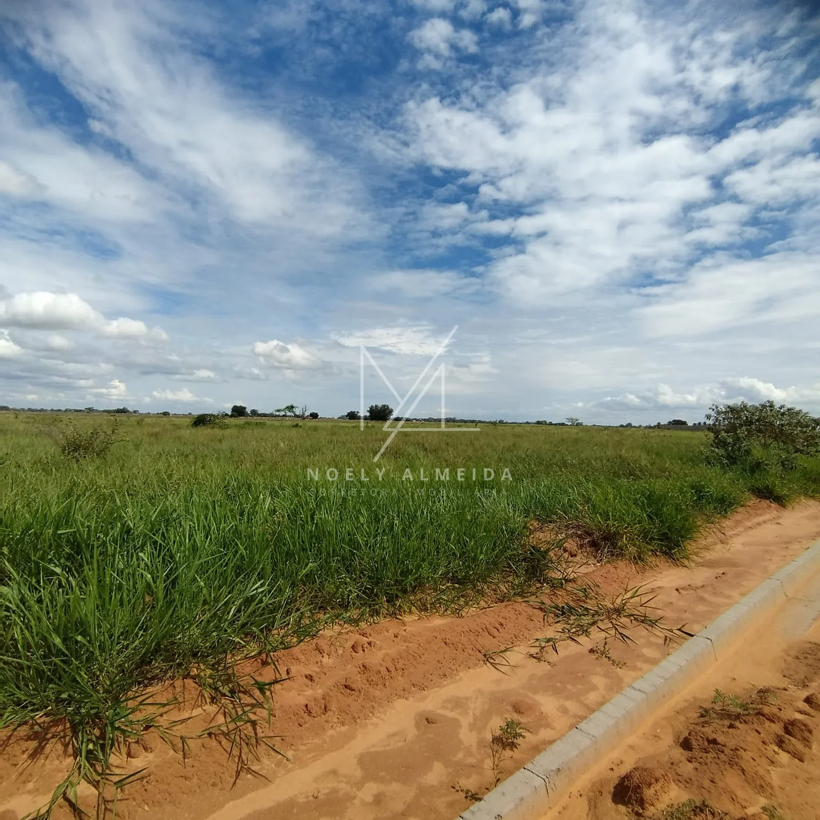 Terreno, para construir rancho em Presidente Epitácio — foto 4