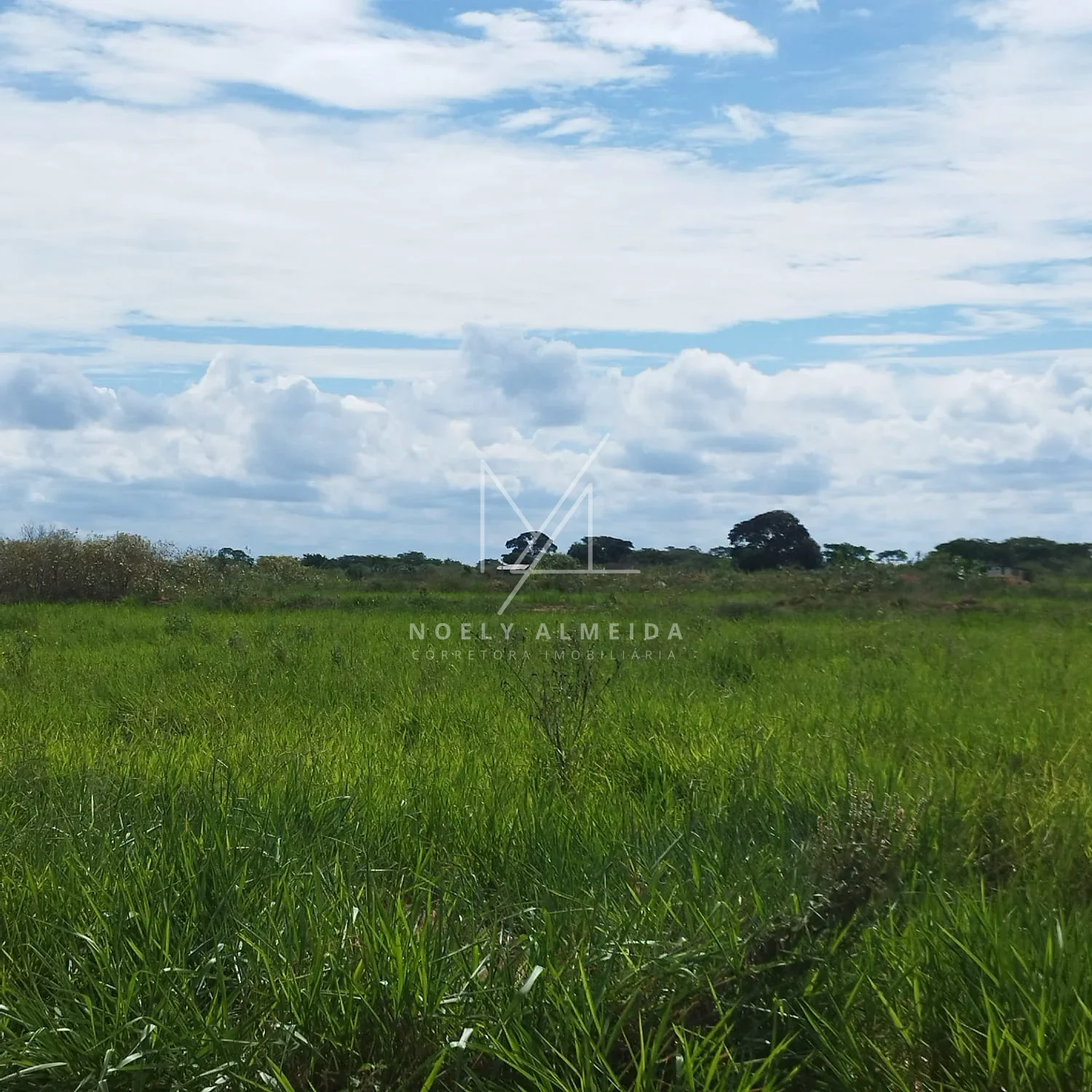 Terreno, para construir rancho em Presidente Epitácio — foto 7