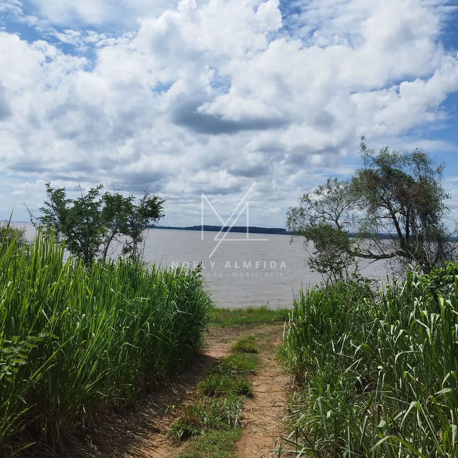 Terreno, para construir rancho em Presidente Epitácio — foto 9