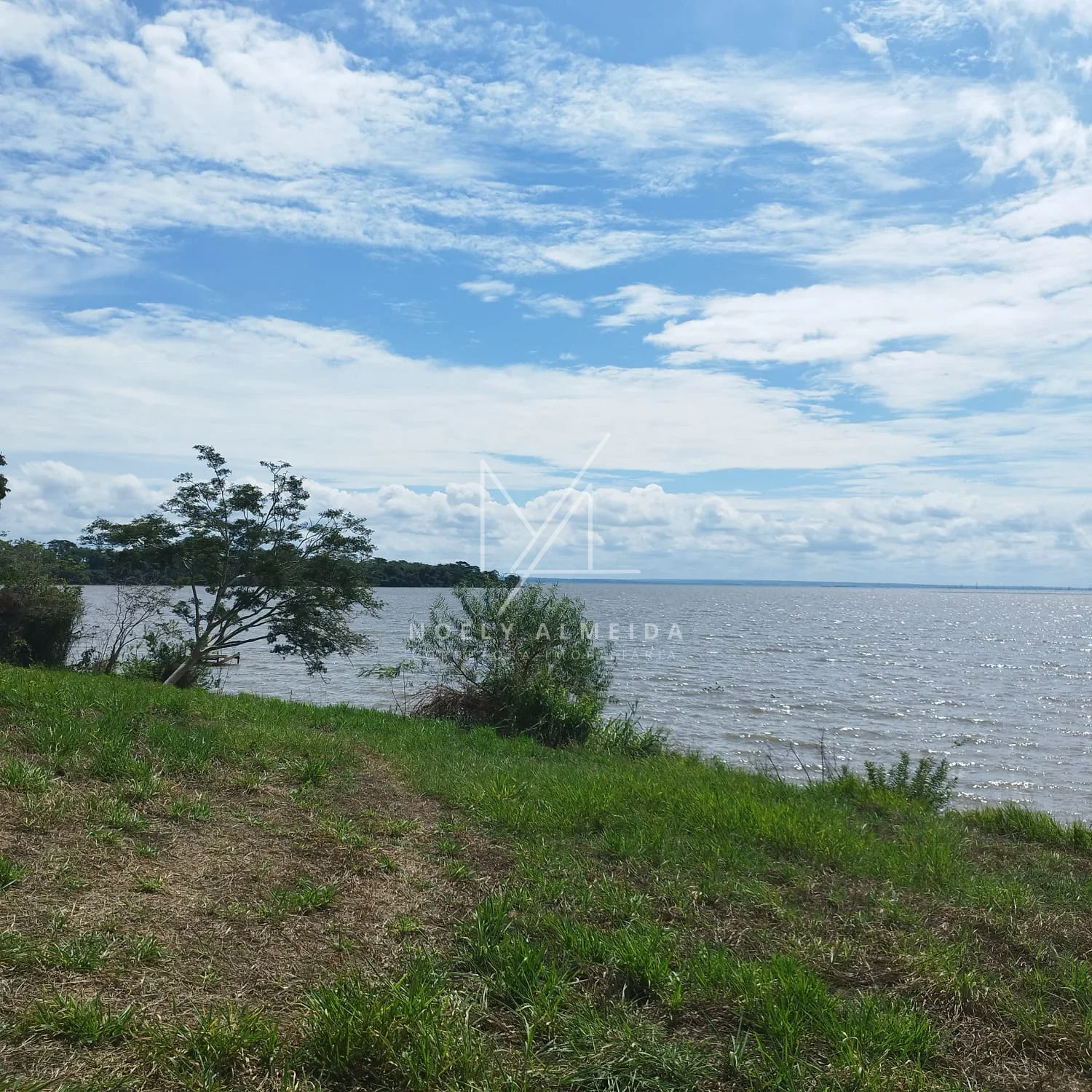 Terreno, para construir rancho em Presidente Epitácio — foto 11