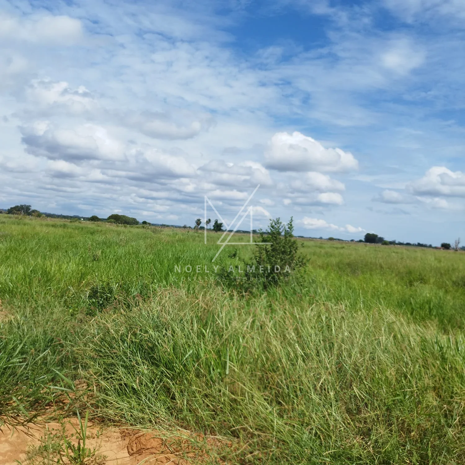 Terreno, para construir rancho em Presidente Epitácio — foto 13