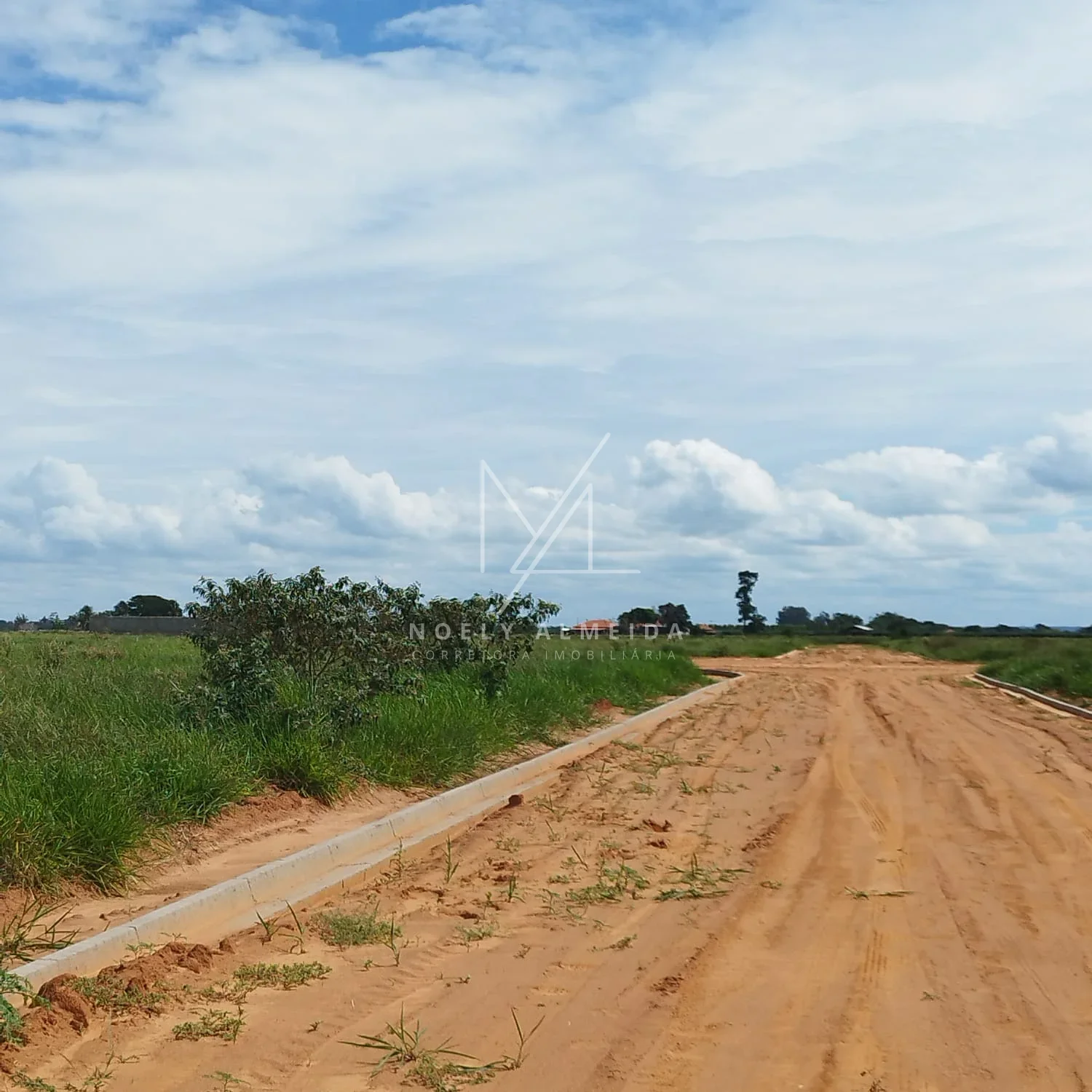 Terreno, para construir rancho em Presidente Epitácio — foto 15