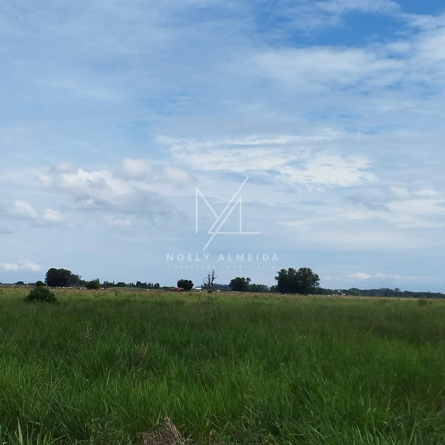 Terreno, para construir rancho em Presidente Epitácio — foto 16