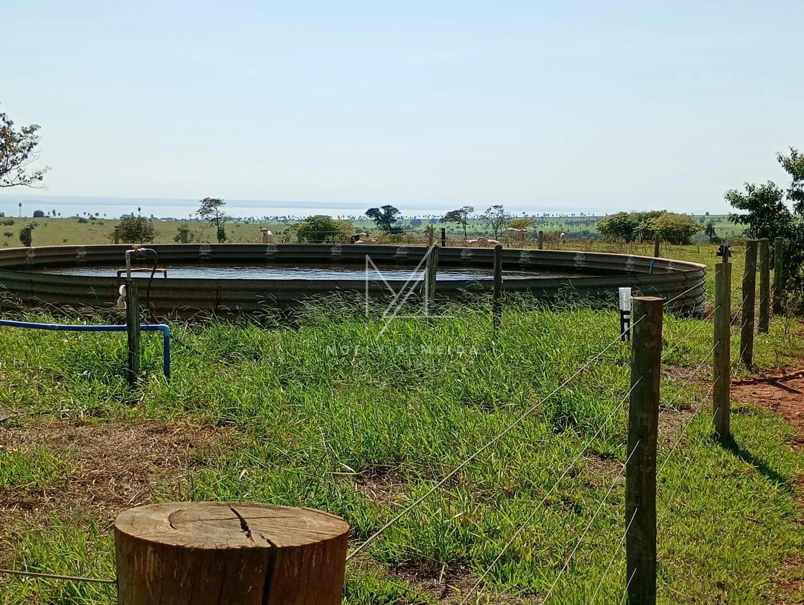Fazenda a venda a 59 km de Presidente Epitácio — foto 6