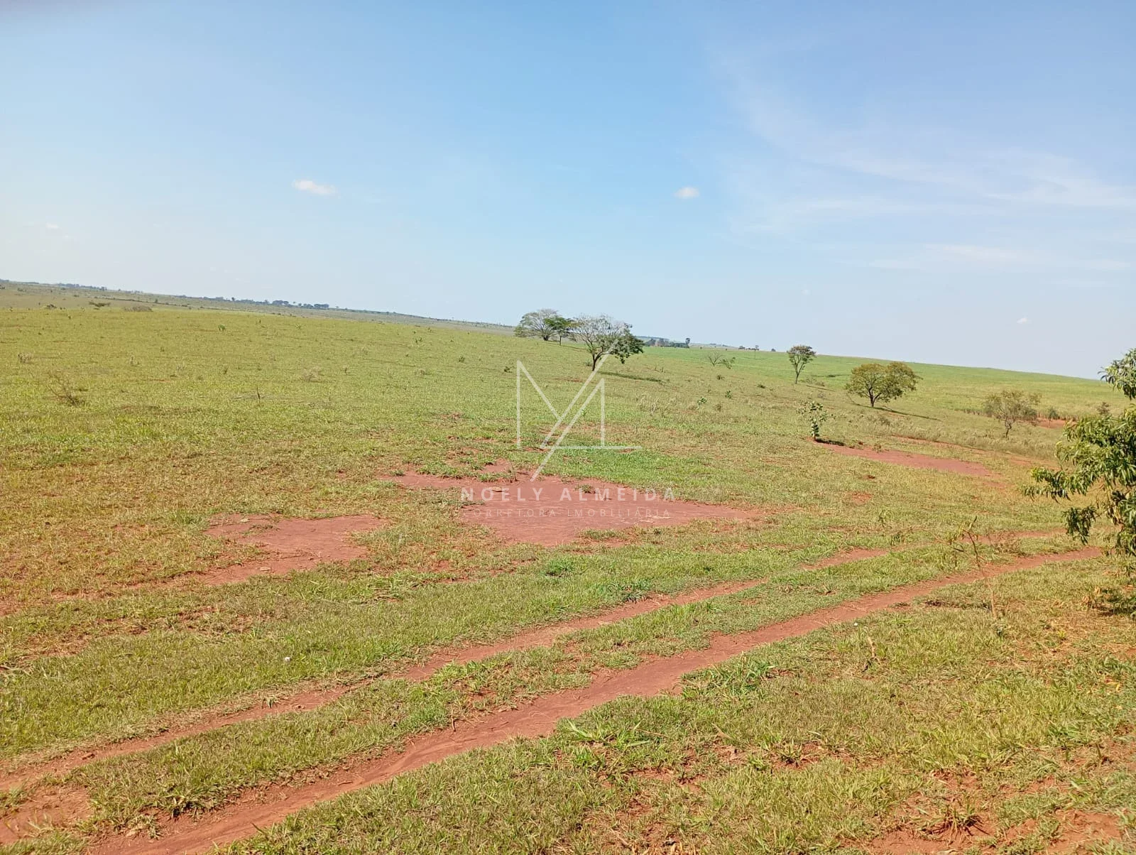 Fazenda a venda a 59 km de Presidente Epitácio — foto 7