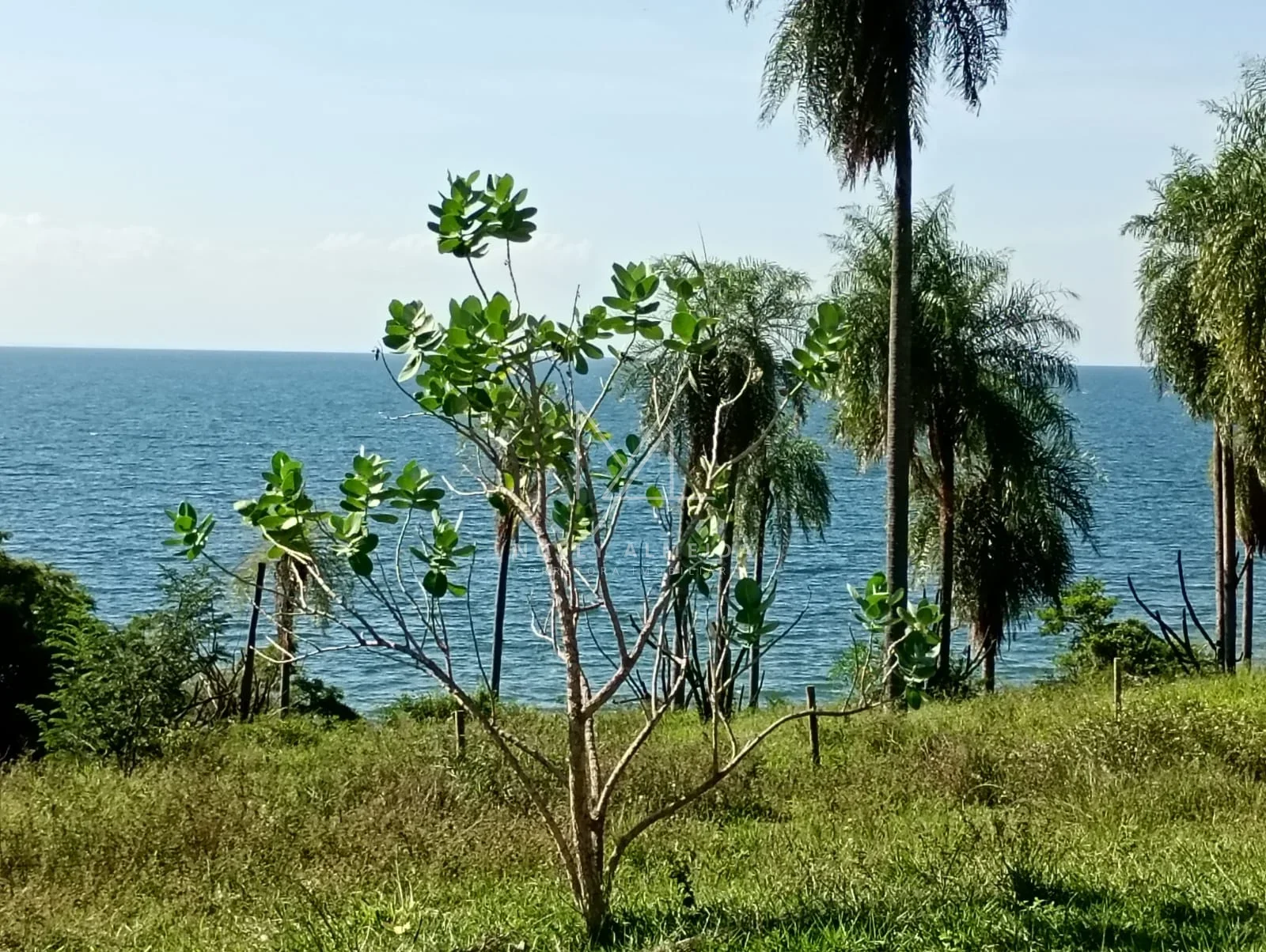 Fazenda a venda a 59 km de Presidente Epitácio — foto 8