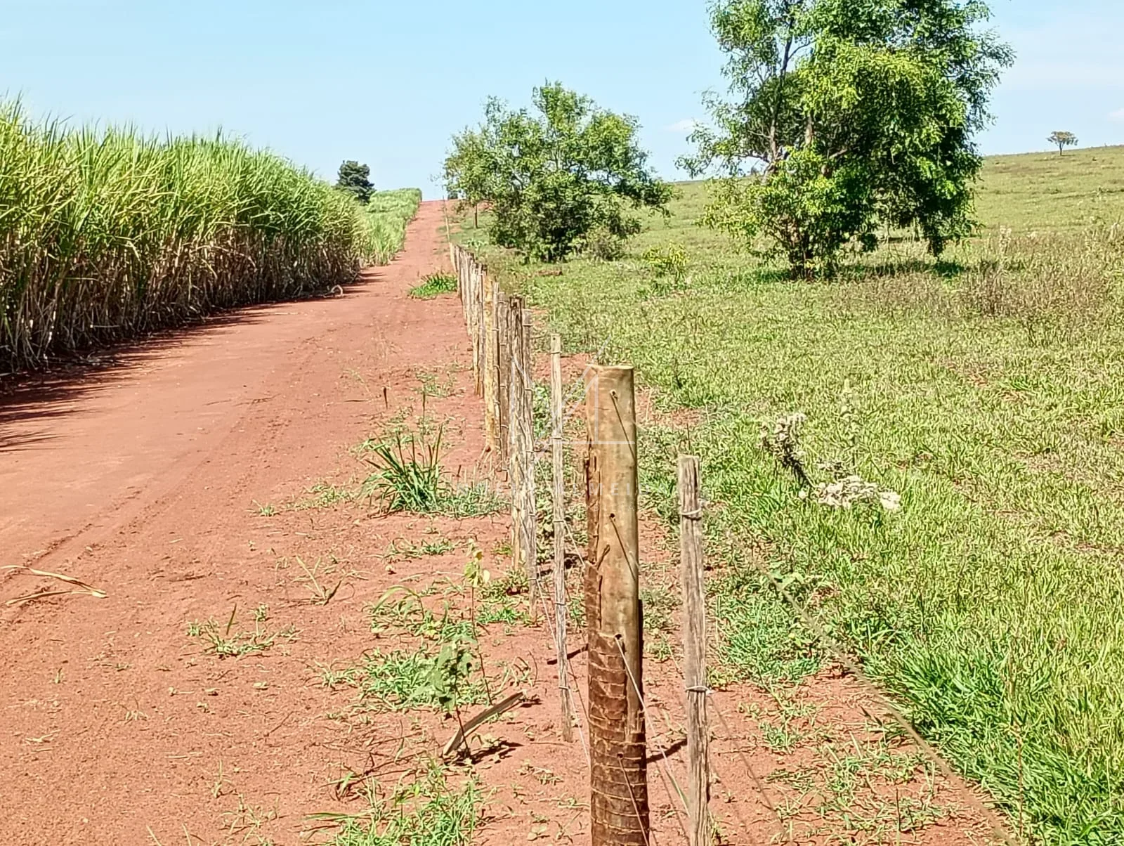 Fazenda a venda a 59 km de Presidente Epitácio — foto 9