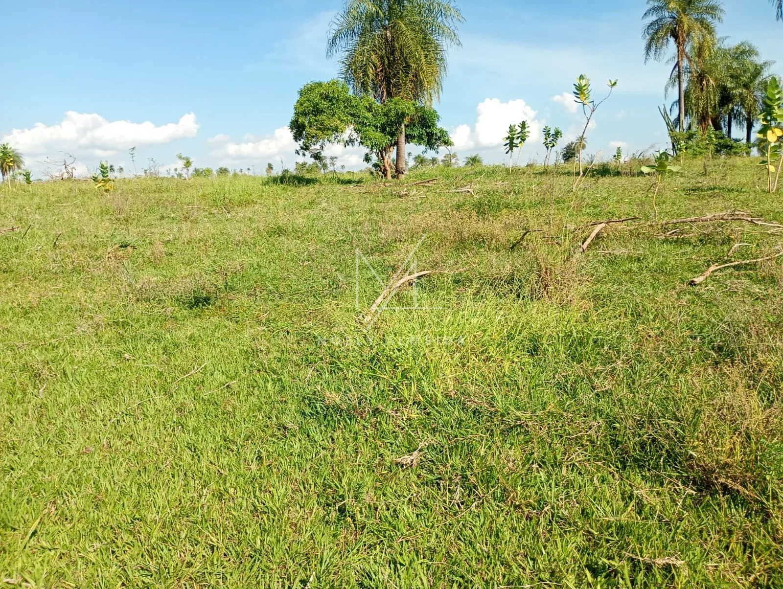 Fazenda a venda a 59 km de Presidente Epitácio — foto 10
