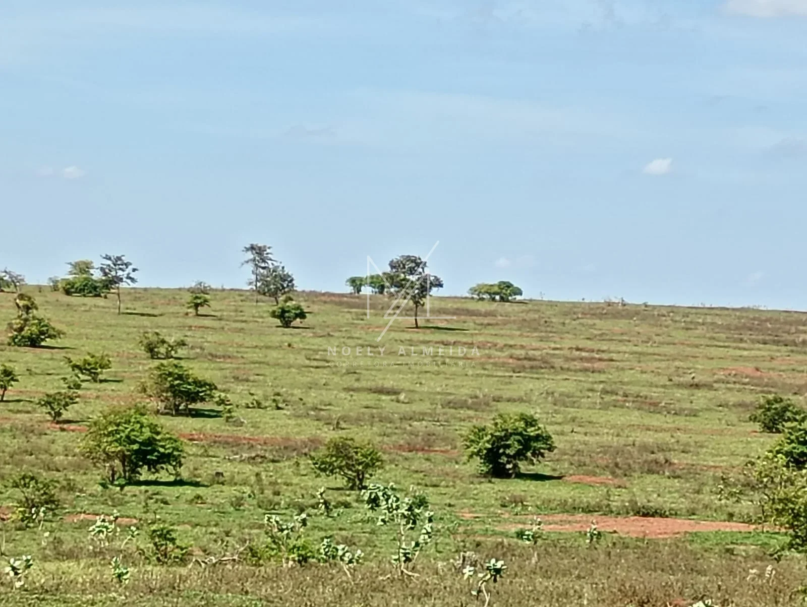 Fazenda a venda a 59 km de Presidente Epitácio — foto 12