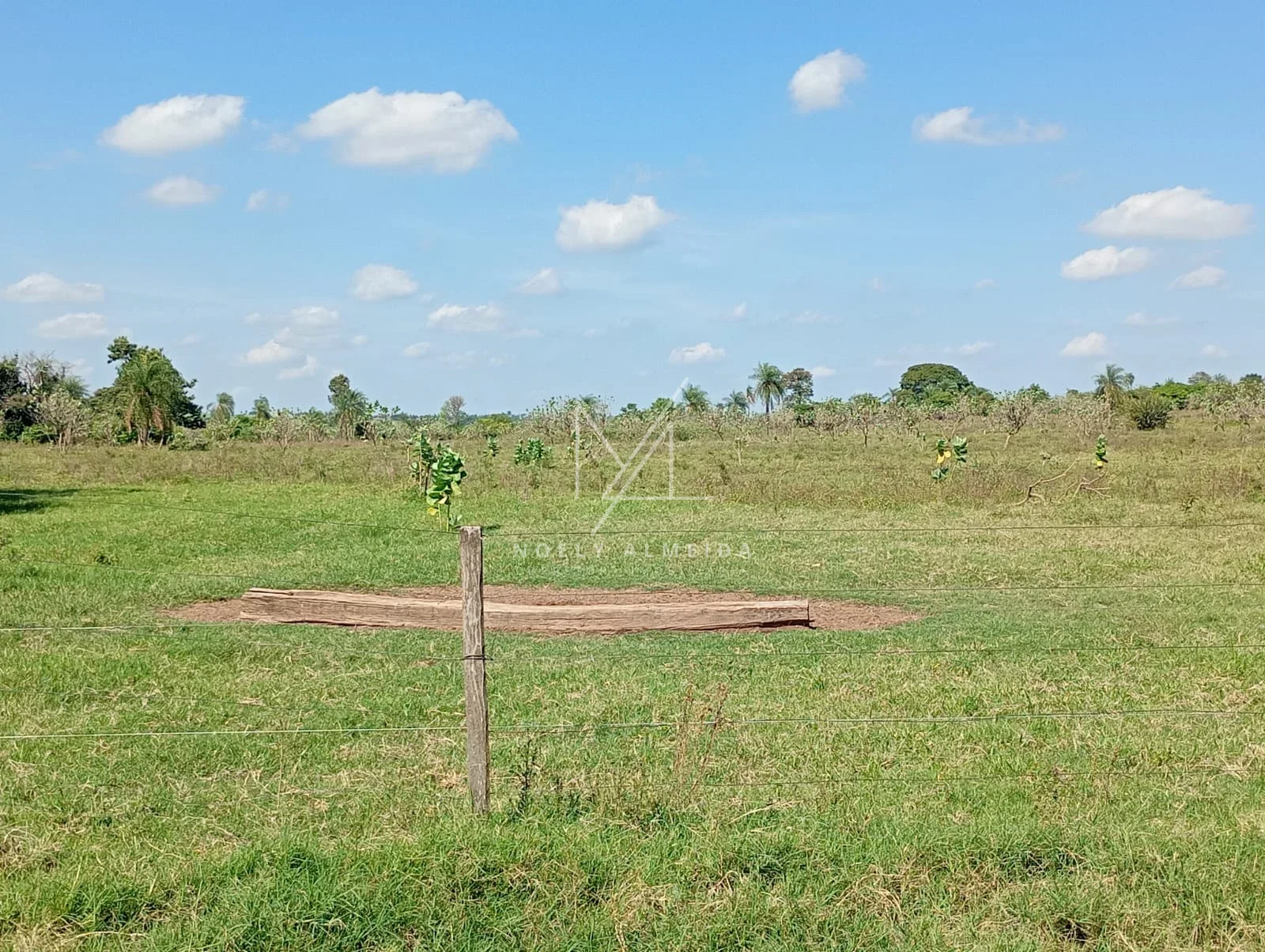 Fazenda a venda a 59 km de Presidente Epitácio — foto 0