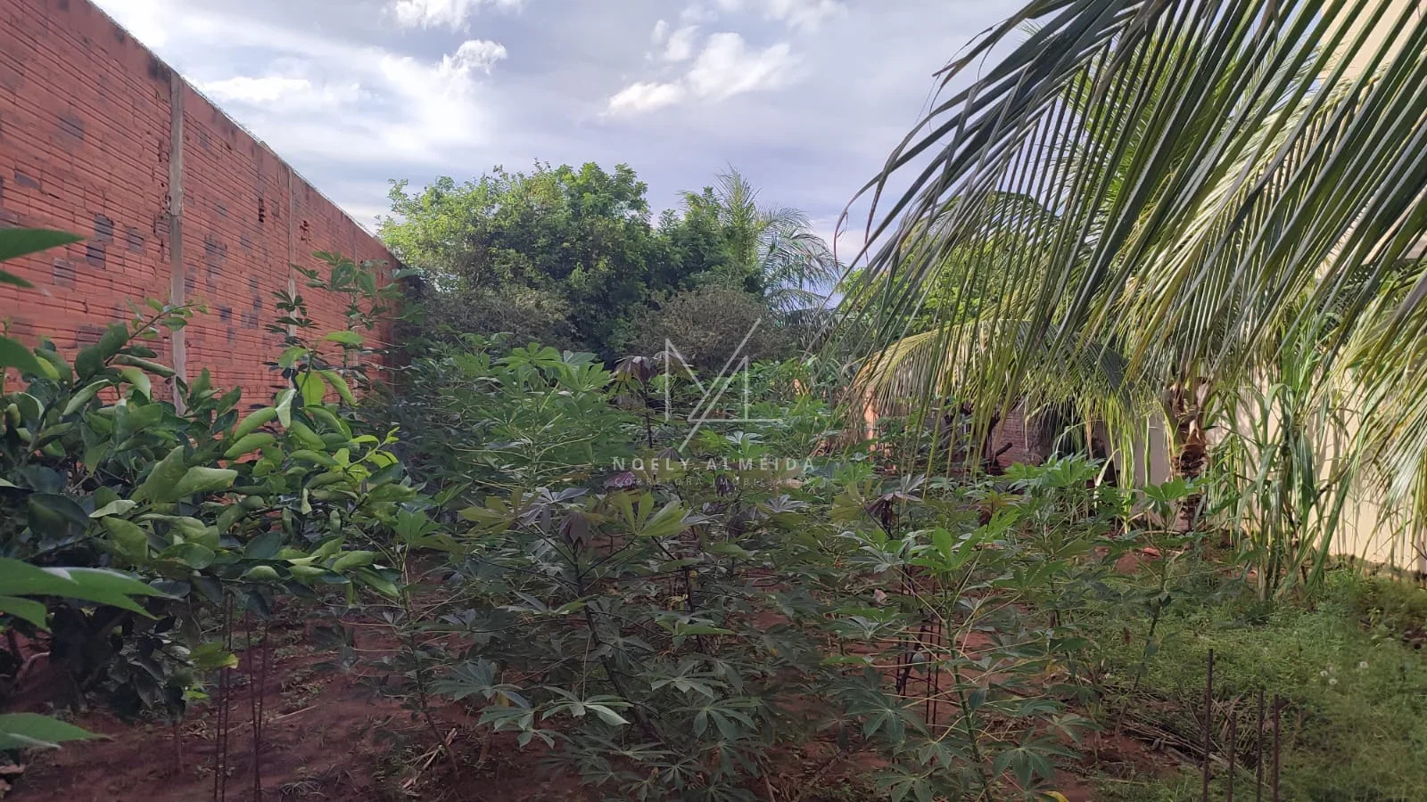 CASA PROXIMO AO RIO EM PRESIDENTE EPITACIO — foto 25