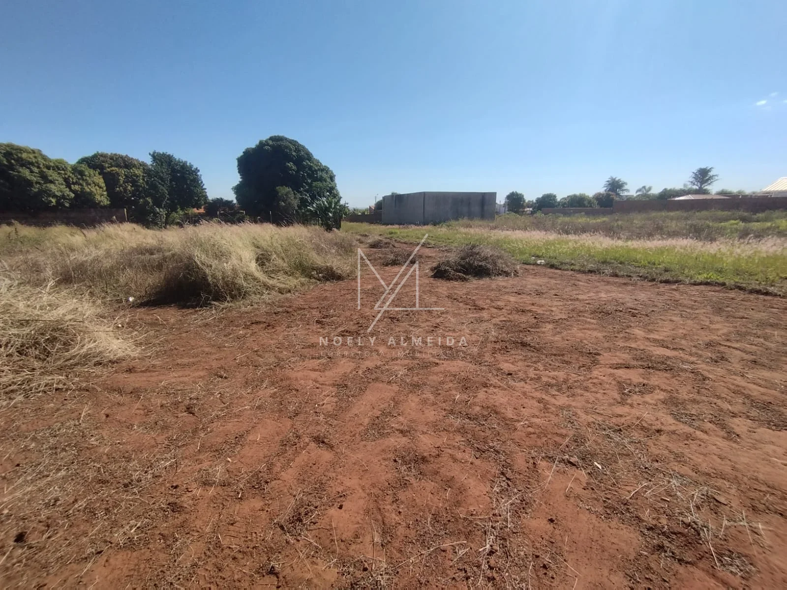 TERRENO PROXIMO AO RIO EM PRESIDENTE EPITACIO-SP — foto 3