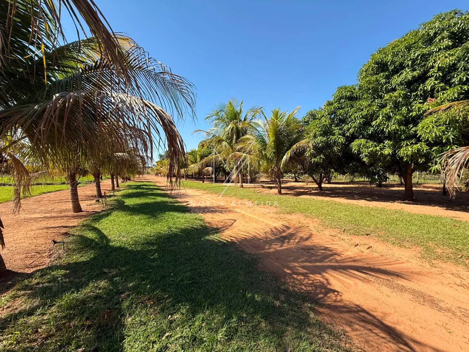 RESORT, POUSADA, HOTEL PARA INVESTIMENTO EM PRESIDENTE EPITACIO — foto 4