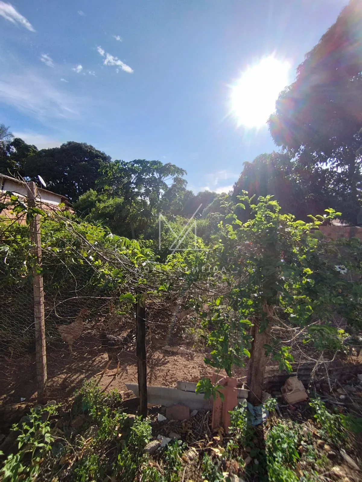 TERRENO A VENDA NO JARDIM REAL I EM PRESIDENTE EPITÁCIO — foto 9