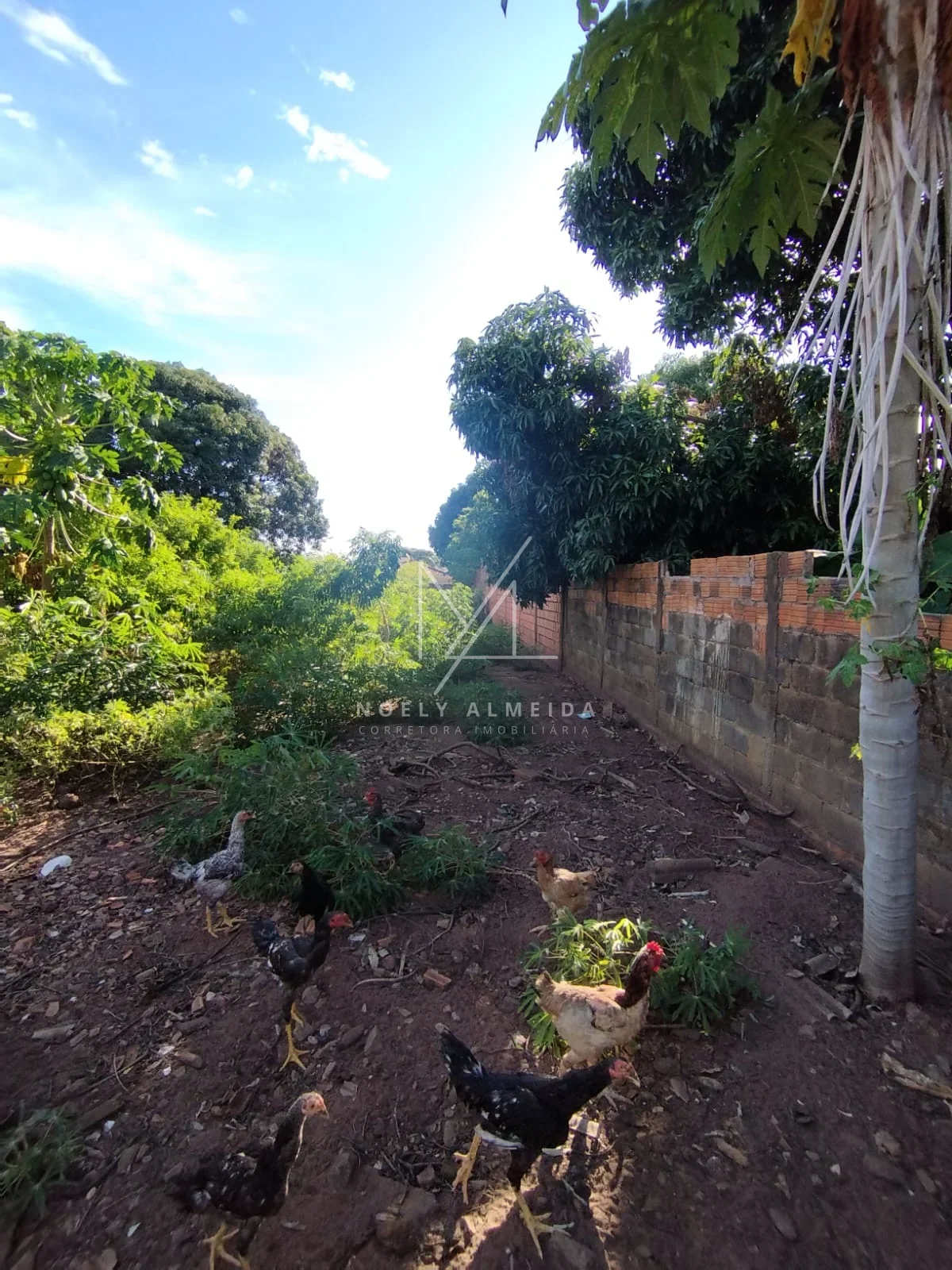 TERRENO A VENDA NO JARDIM REAL I EM PRESIDENTE EPITÁCIO — foto 10