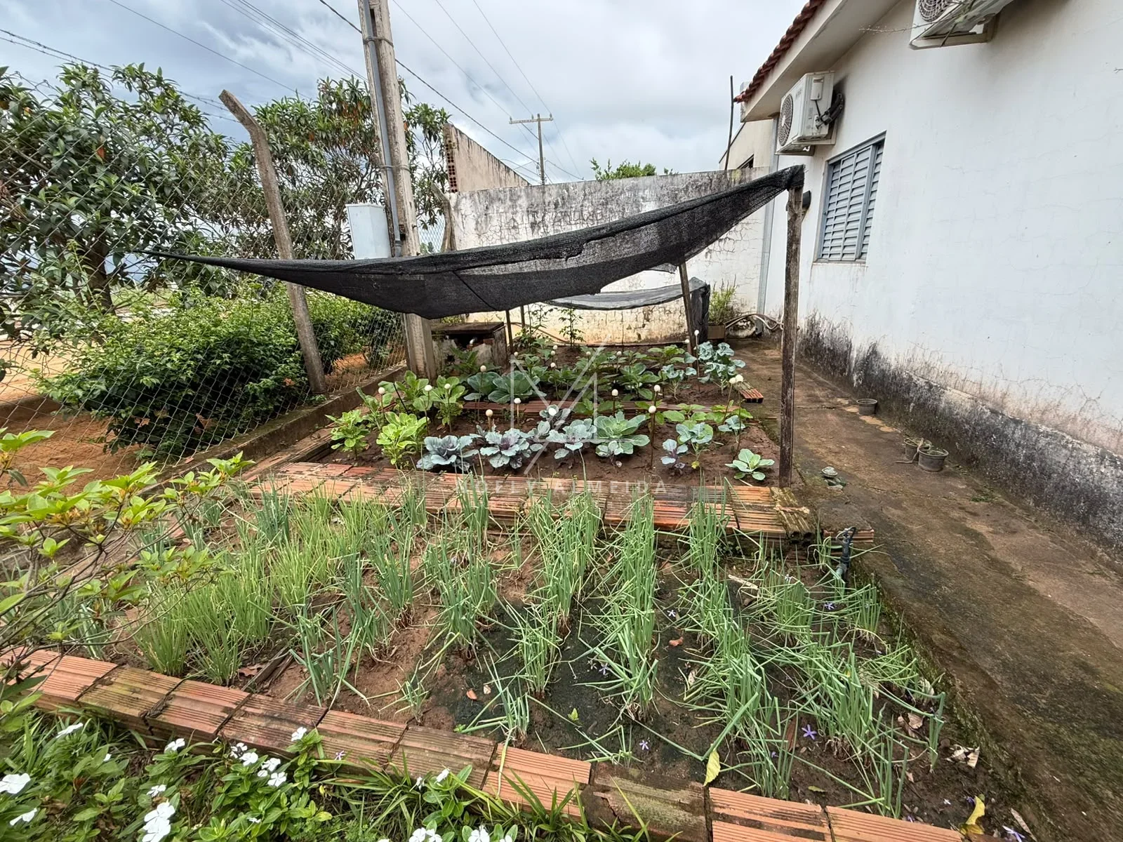 RANCHO  DOS SONHOS A MARGENS DO RIO EM PRESIDENTE EPITACIO/SP — foto 5