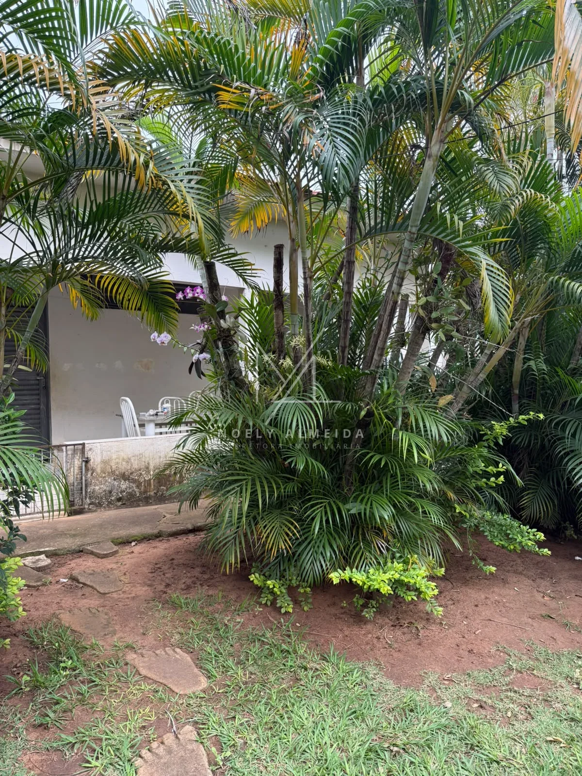 RANCHO  DOS SONHOS A MARGENS DO RIO EM PRESIDENTE EPITACIO/SP — foto 6