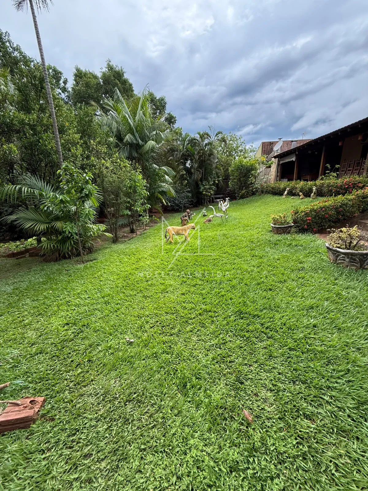 RANCHO  DOS SONHOS A MARGENS DO RIO EM PRESIDENTE EPITACIO/SP — foto 9