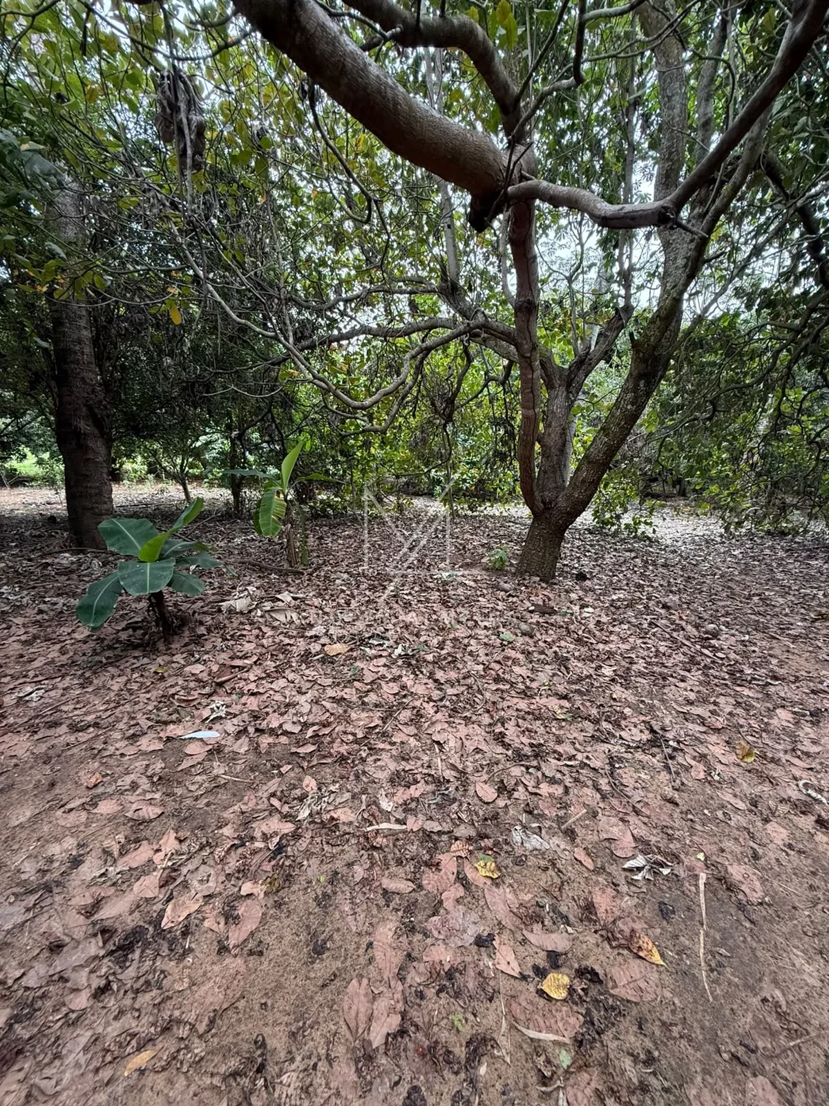 RANCHO  DOS SONHOS A MARGENS DO RIO EM PRESIDENTE EPITACIO/SP — foto 11