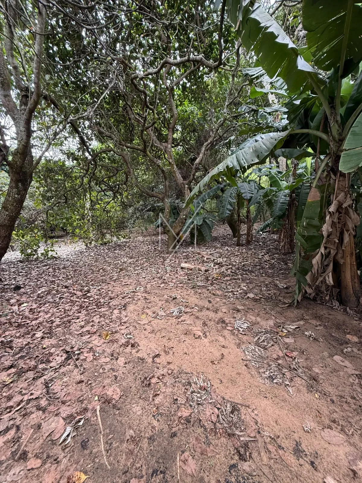 RANCHO  DOS SONHOS A MARGENS DO RIO EM PRESIDENTE EPITACIO/SP — foto 12