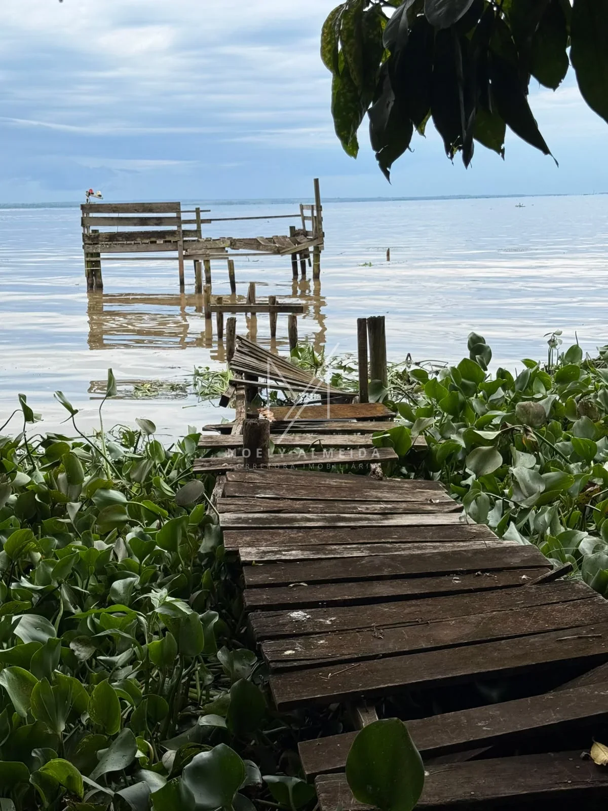 RANCHO  DOS SONHOS A MARGENS DO RIO EM PRESIDENTE EPITACIO/SP — foto 13
