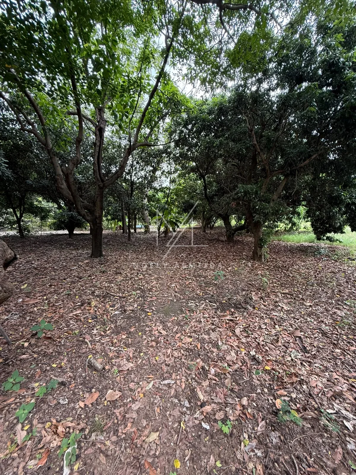 RANCHO  DOS SONHOS A MARGENS DO RIO EM PRESIDENTE EPITACIO/SP — foto 14