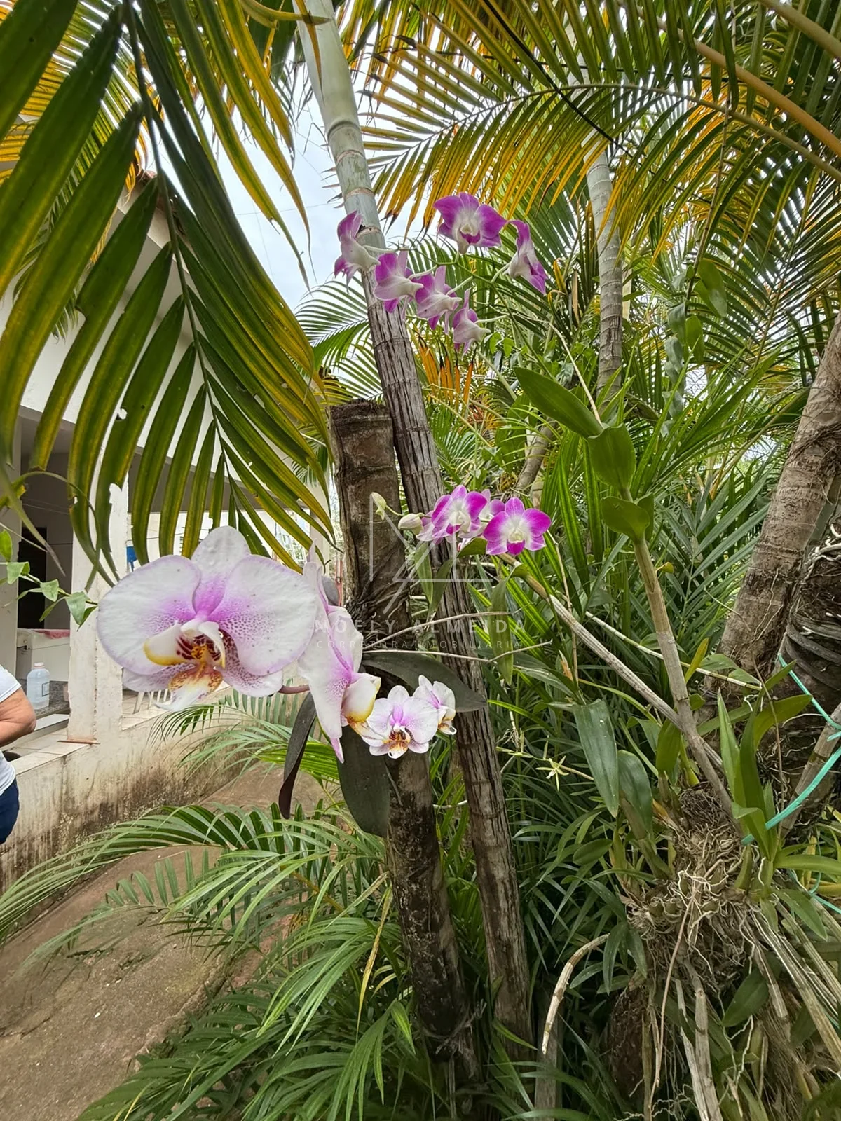RANCHO  DOS SONHOS A MARGENS DO RIO EM PRESIDENTE EPITACIO/SP — foto 15